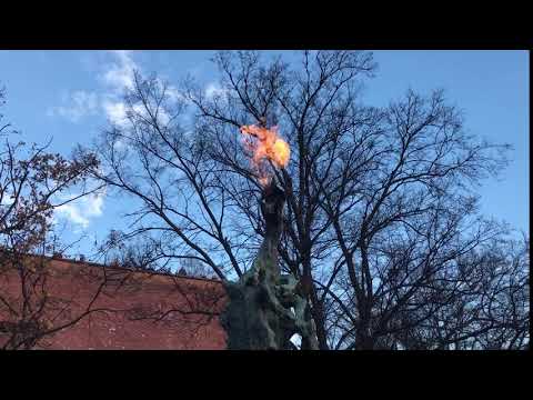 Breathing Fire: The Wawel Dragon, Travel Series