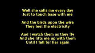 Stornoway . Watching Birds [Lyrics]