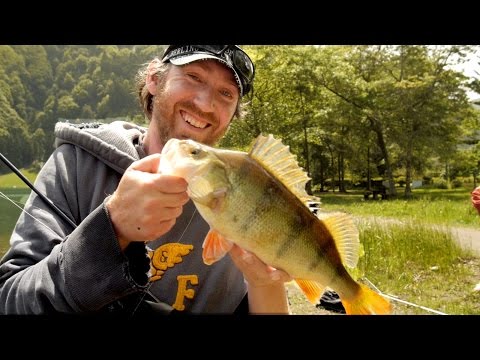 Fiskeri efter aborrer og gedder på Azorerne