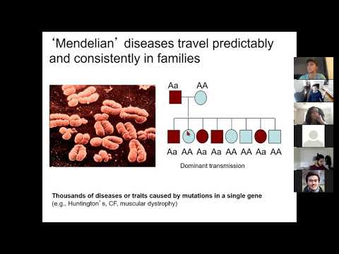 6.047/6.878 Lecture 14 - GWAS and Disease Dissection (Fall 2020)