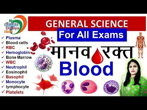 मानव रक्त | Human Blood by Neha Ma'am | What is Blood | Function of blood | RBC | WBC | Platelets Video