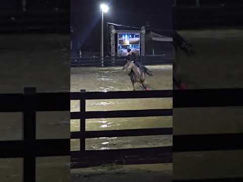 Prova 3 Tambores São Luiz Do Anaua-RR RORAIMA 🇧🇷 🤠Décio Ravik na sela de :🐴Nina Boonsmal 🐴