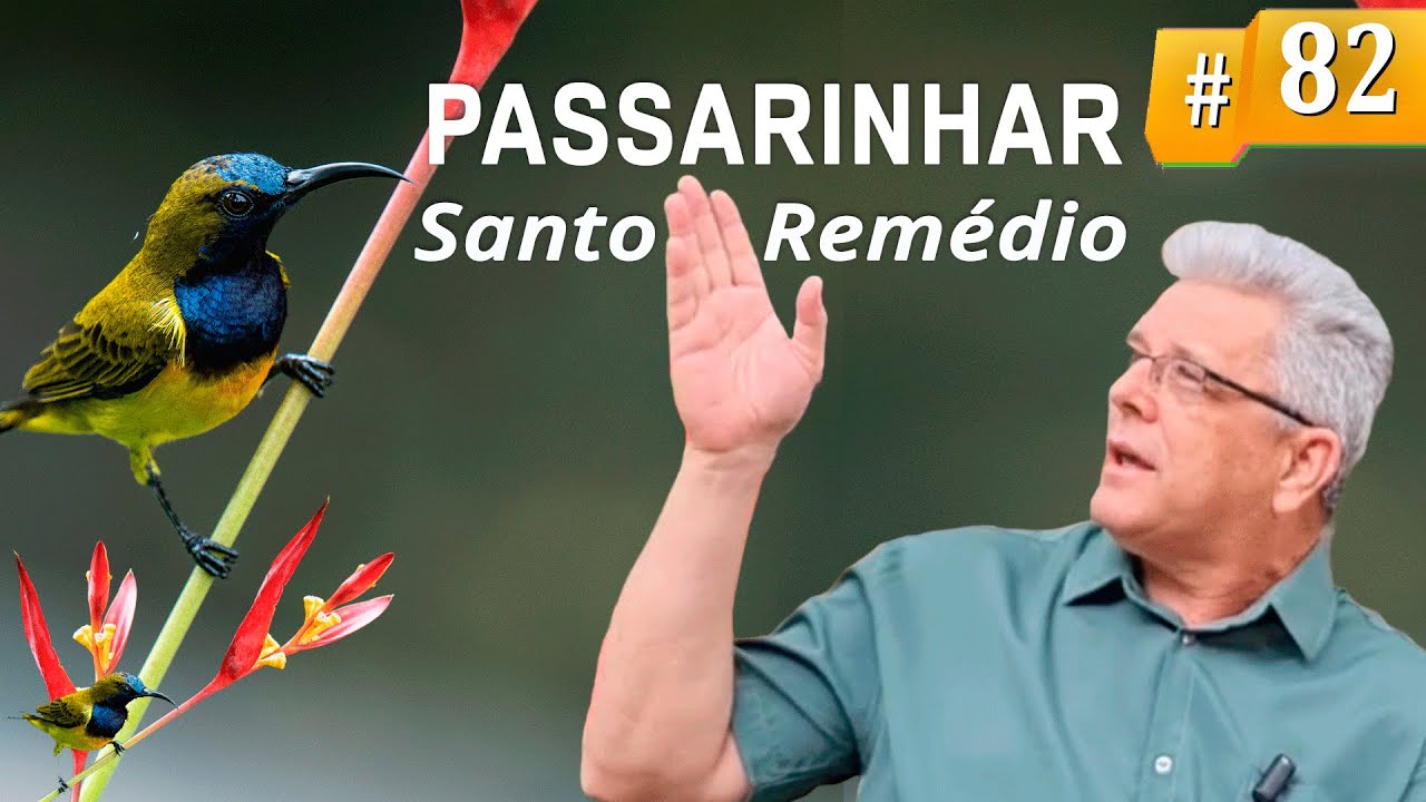 Como as aves podem ajudar em sua cura?