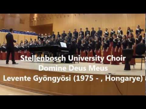 Domine Deus Meus - Levente Gyöngyösi (1975 - , Hungary)