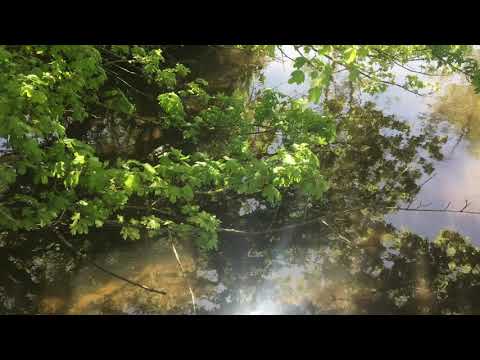 upsammy - Send-Zen (Official Video)