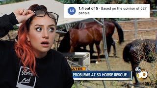 Exposing FAKE Horse Rescues