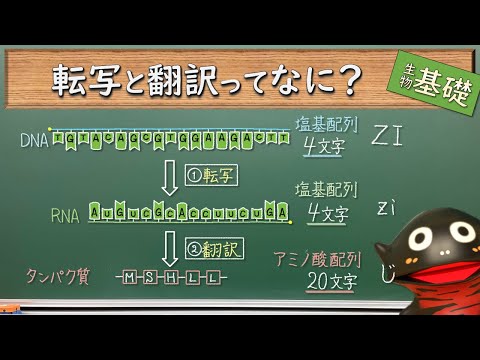 人工 DNA 文字を持つ細菌