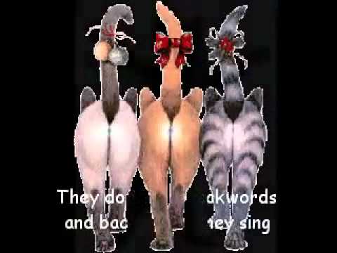 Happy Birthday TO YOU TERRI