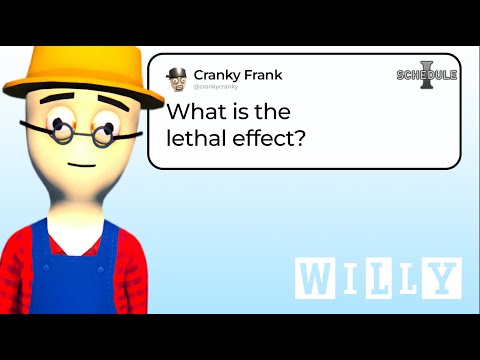 Data Miner Answers Your Most Asked Questions About Schedule 1