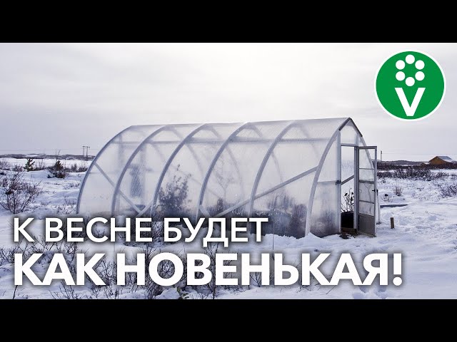 ЭТИ СОВЕТЫ ПОМОГУТ СОХРАНИТЬ ТЕПЛИЦУ ЗИМОЙ! Новую покупать не придется!