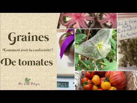 , title : 'Obtenir des graines de tomates conformes'