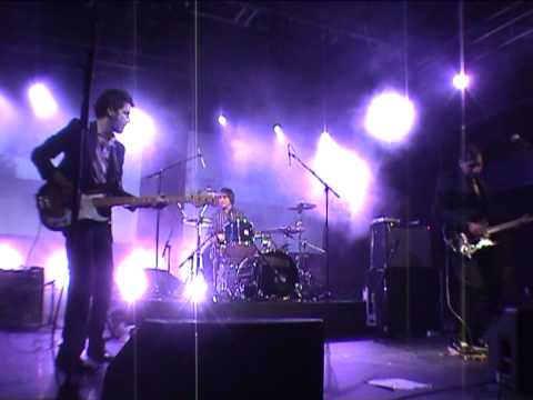 KID CONGO POWERS & THE PINK MONKEY BIRDS sex beat