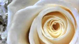 Late Night Alumni- Rainy Days Lyrics