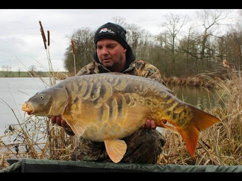 Venue videos photo 3