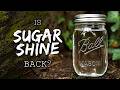 We Were WRONG About Sugar Moonshine - How to Make Cheap Alcohol on a Copper Still