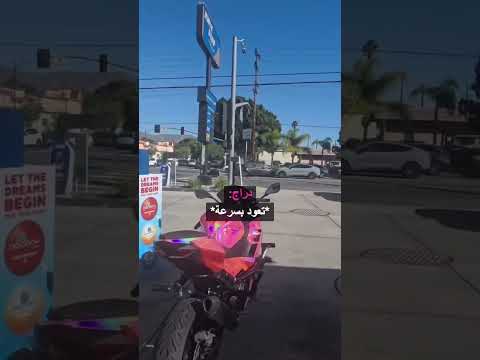 دراج ينقذ دراج بطريقة غريبة!