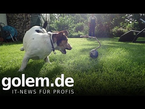 Olympus Tough TG5 und Nikon Cooplix W300 - Test