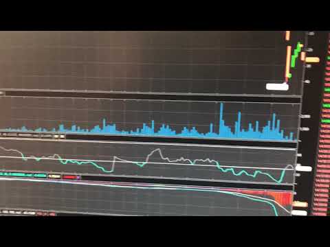 The opportunity of a lifetime