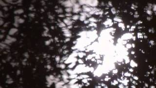 NEVER STRAY FAR AWAY - HEAR MY PRAYER.wmv