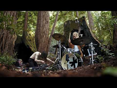 BIOMES: Forest | Drum & Bass in the Woods