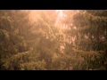 Joe Satriani- Wind in the trees HD