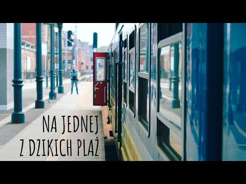 Na jednej z dzikich plaż - Rotary