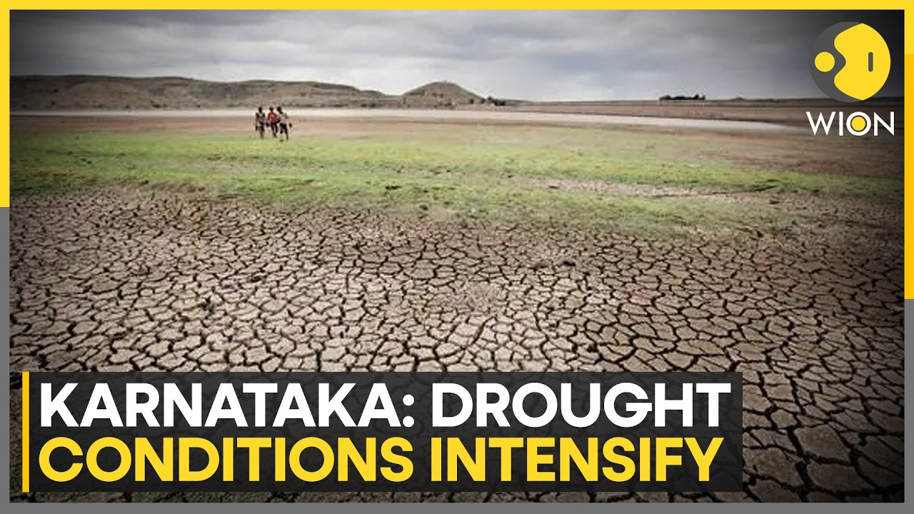Karnataka Stares At Shortage Of Drinking Water & Electricity | WION News