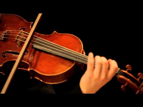 Johannes Brahms: Sonata in E flat major for Viola and Piano, Op 120 #2, Mvt 1