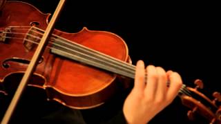 Johannes Brahms: Sonata in E flat major for Viola and Piano, Op 120 #2, Mvt 1