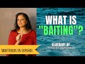 What Is Baiting Glossary Of Narcissistic Relationships