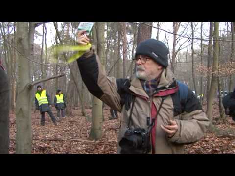 21-01-09 kelsterbacher wald