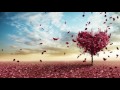 Tu Mera Hai Sanam Lyrical Video