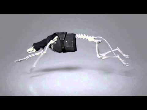 Skrillex - Puppy (Unreleased)