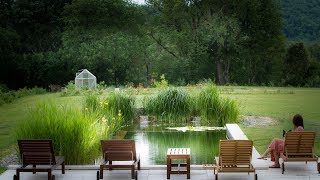 Maison d'hotes de Charme Gers/Gascogne - Domaine Au PERISSON - Piscine Naturelle - Jazz In Marciac
