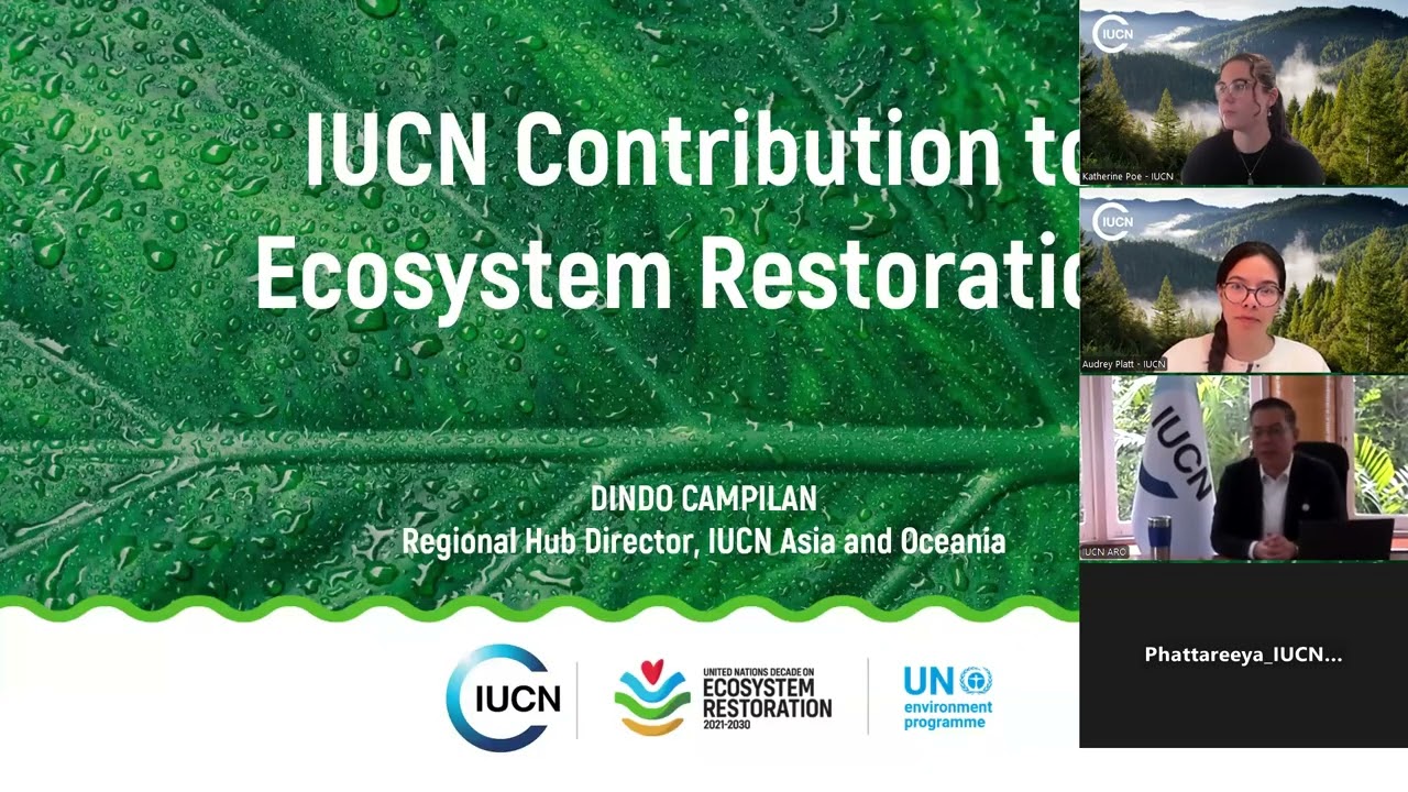 IUCN and the UN Decade Ecosystem Restoration Hub: Success Stories and Guidance from Asia and Oceania