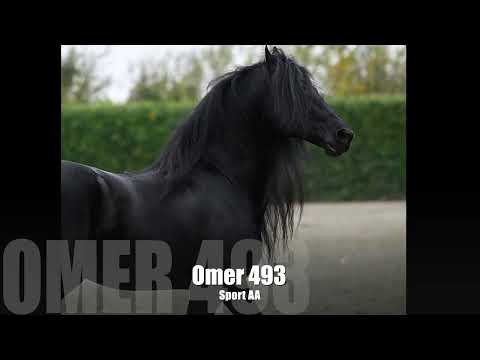 Omer 493 Sport AA