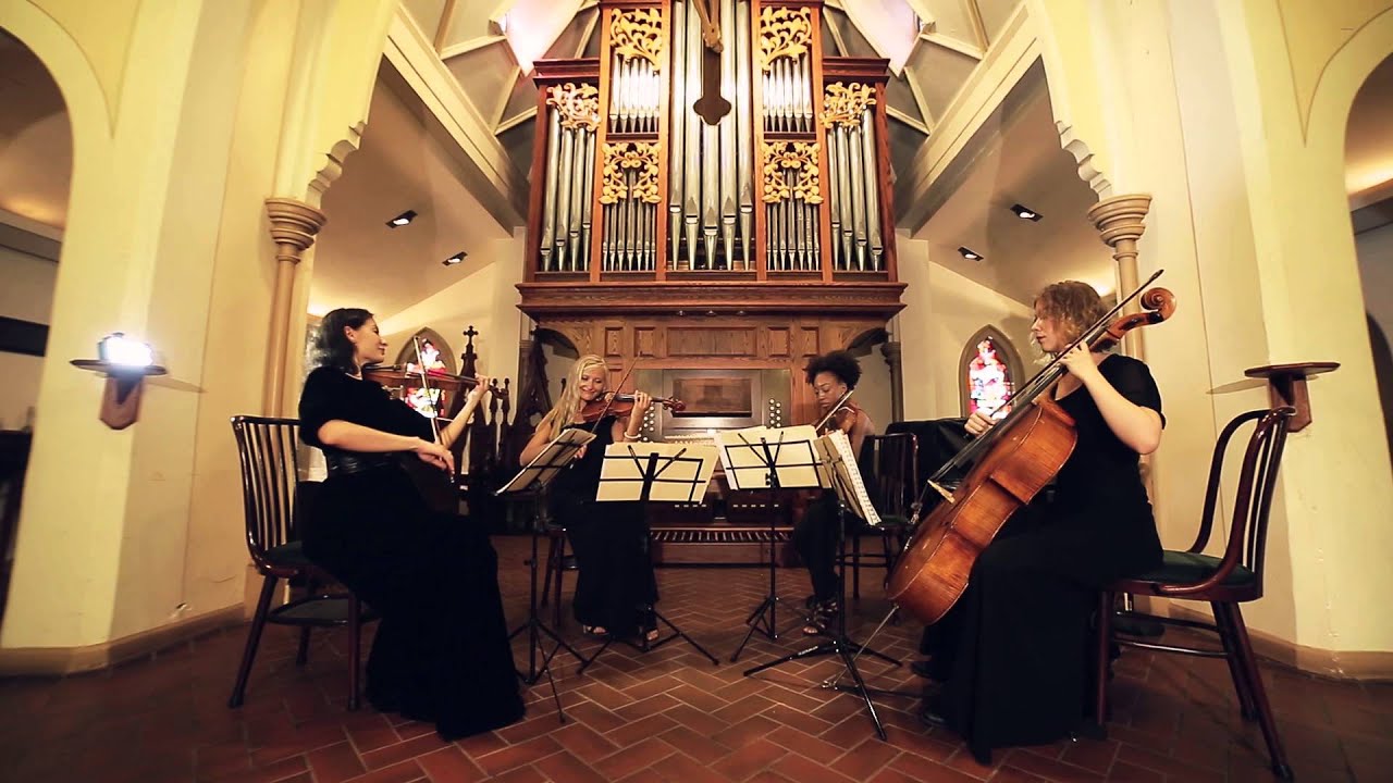 Promotional video thumbnail 2 for Stellar Strings