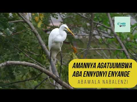 ENNYONYI ENYANGE - AMANNYA AGATUUMIBWA ABEDDIRA ENNYONYI ENNYANGE