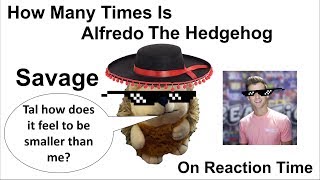 How Many Times is Alfredo The Hedgehog SAVAGE | Reaction Time | 2018