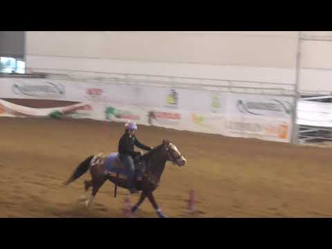 GimKana Speed Matteo Cavaliere - wsga Fieracavalli Verona 2018