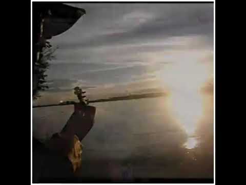 Comidas venezolanas en el llano