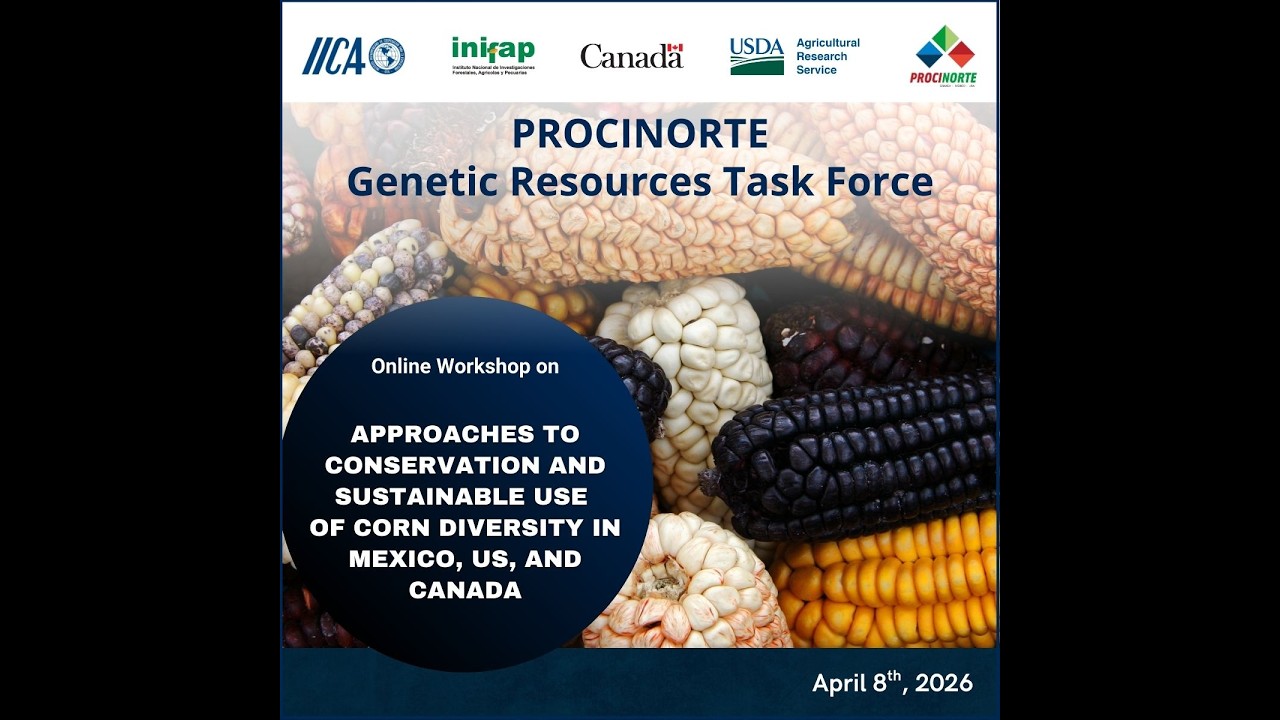 Approaches to conservation and sustainable use of corn diversity in Mexico, US, and Canada