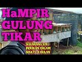 CERITA SUKSES BETERNAK KELINCI SAMPAI RATUSAN INDUKAN
