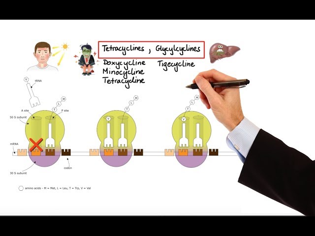 Vidéo Prononciation de sulfonamides en Anglais