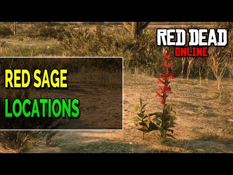 Red Dead Online Red Sage Location - Red Dead Online Daily Challenges