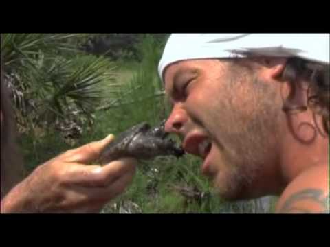Wildboyz - Snapping Turtle