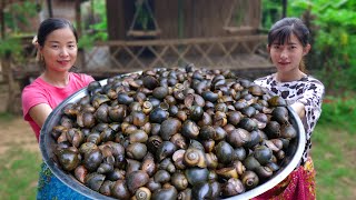 Yummy Spicy Farm Snails Recipes - Cooking Delicious and popular Recipes in Cambodia