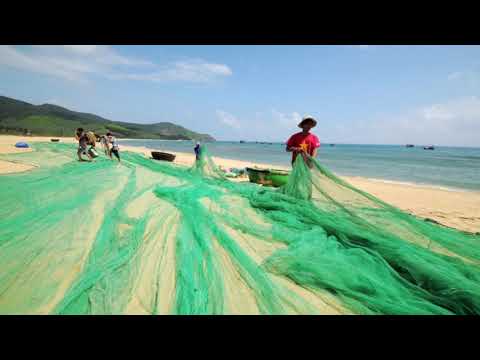 Thể hiện bởi Hoài Trung