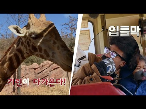 '겁쟁이' 한현민, 가까이 다가오는 기린에 입틀막⊙0⊙ 이방인 14회