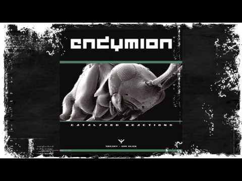 Endymion - Payback